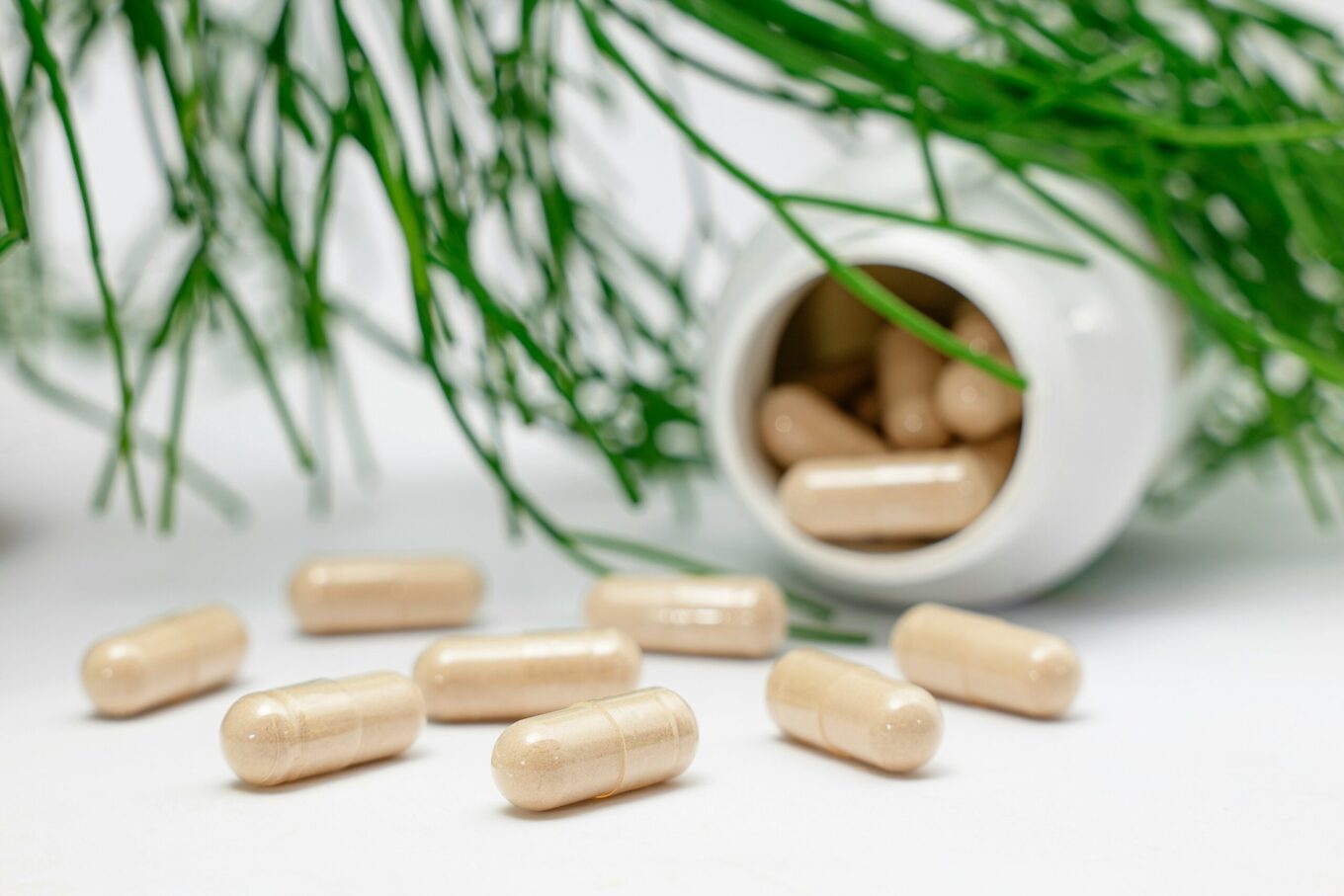 Best Supplements for Digestion, Energy & Gut Health in 2025